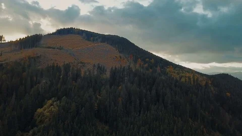 Aerial view of deforestation in Carpathian mountains Video stock 83127014