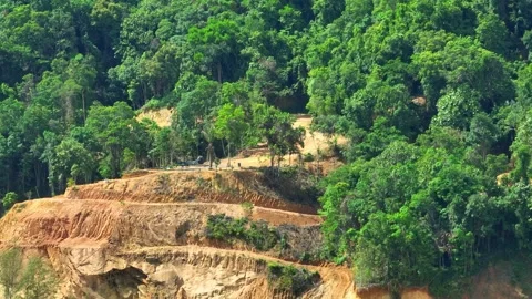 Aerial view of deforestation contributing to global warming. Stock Footage 307939935