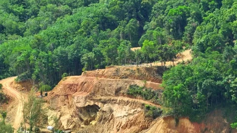 Aerial view of deforestation, exposing cleared land. Stock Footage 307939928