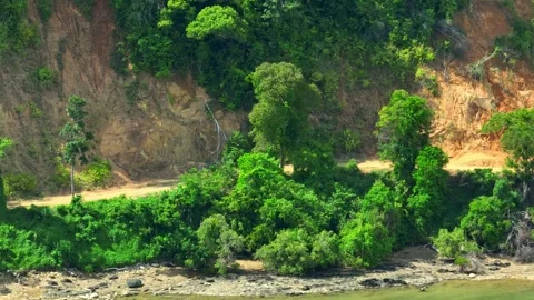 Aerial view of deforestation, exposing cleared land. Stock Footage 307939942