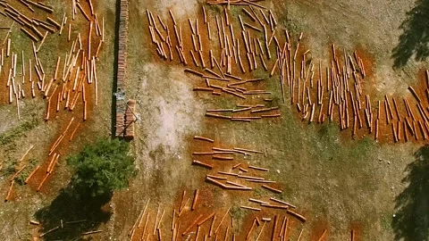 Aerial View of Deforestation Stock Footage 146172552