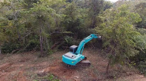 Aerial view of the deforestation. Stock Photos
