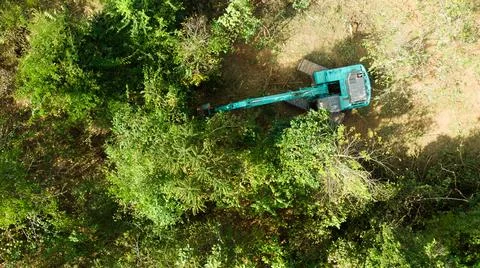 Aerial view of the deforestation. Stock Photos