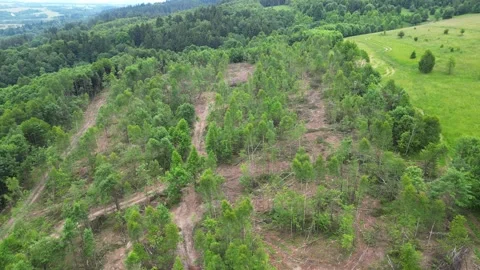 Aerial view of deforestation process showing gradual clearing of trees Video stock 319559730