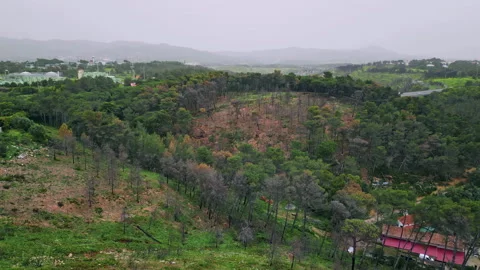 Aerial view deforested area on dull foggy day. Environmental ecology problems Stock Footage 281024478