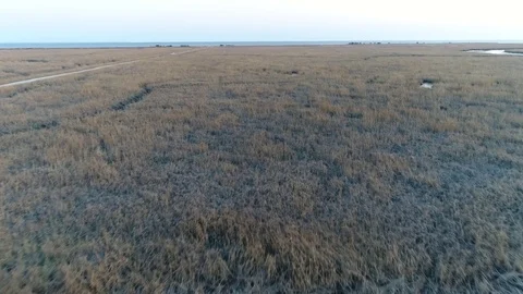 Aerial View of Delaware Bay Marsh in New Jersey Stock Footage 75948722