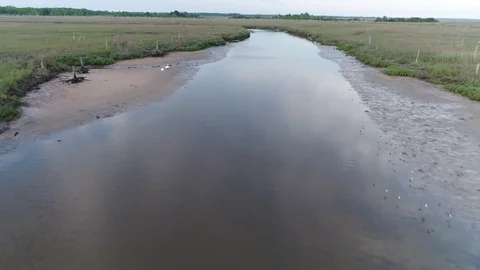 Aerial View of Delaware Bay Marsh in New Jersey Stock Footage 76855923