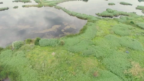 Aerial view of Delta Vacaresti Stock Footage 146130010