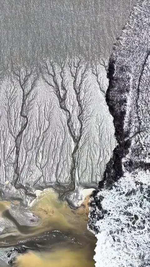 Aerial View of Dendritic Tidal Patterns Qiantang River China Stock Footage 342599259