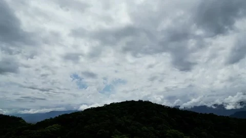 Aerial View of Dense Atlantic Rainforest Canopy and Mountains, Brazil Vídeos de archivo 334614185