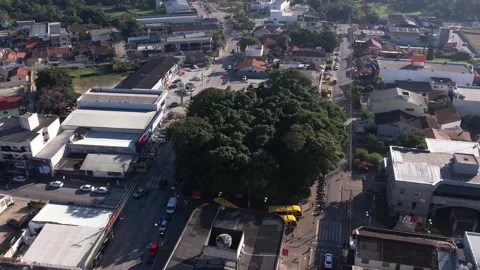 Aerial view of a dense cluster of trees in Camboriú, Brazil Stock Footage 329078188