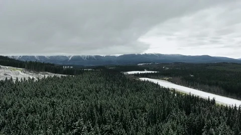 Aerial view of a dense coniferous forest at the foot of the mountain Video stock 119236274