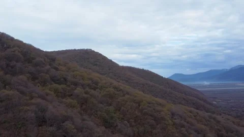 Aerial View of Dense Deciduous Forest in Mountain Valley. High-angle shot o.. Stock Footage 332004501