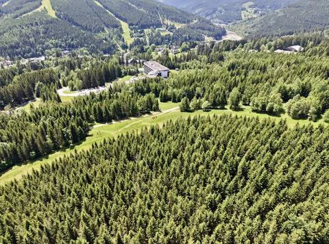 Aerial view of dense evergreen forest and mountain resort clearing Stock Photos