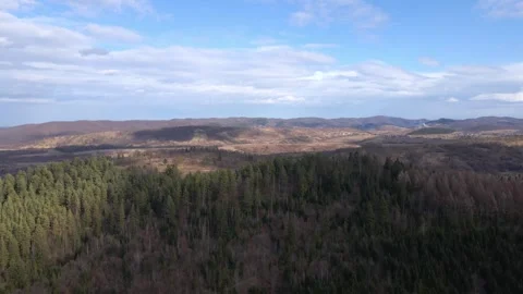 Aerial view of dense forest and distant mountain ridges under blue sky Stock Footage 320446748