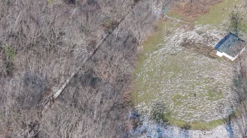 Aerial View of Dense Forest and Rocky Terrain Stock Footage 327058283