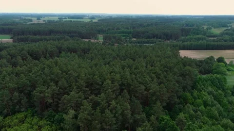 Aerial View of Dense Forest and Agricultural Fields in Central Europe Vídeos de archivo 336514413