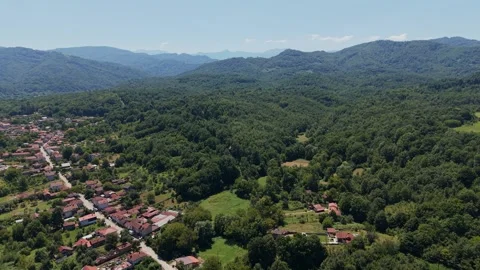 Aerial view of dense forest and mountain terrain in Bulgaria Stock-Footage 344632633