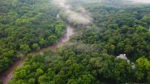 Aerial View of Dense Forest with Brown River Flowing Through Stock Footage 314693541