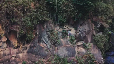 Aerial view of dense forest canopy in autumn light Stock Footage 340149201
