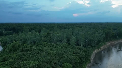Aerial view of dense forest canopy and riverbank under cool evening dusk sk.. Vídeo Stock 342448540