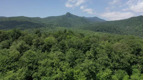 Aerial View of Dense Forest-Covered Mountains Video stock 312758470