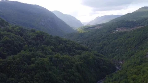 Aerial view of dense forest covering steep mountain valley with river Video stock 342774817