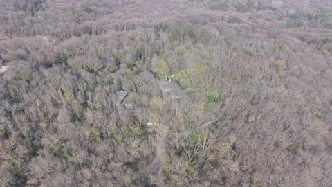 Aerial view of dense forest intersected by winding countryside roads Видео 331424837