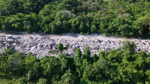 Aerial view of dense forest with large plastic pollution waste dump outdoor Stock-Footage 344802890