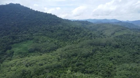 Aerial view of dense forest in the Meratus Mountains area in South Kalimantan Stock Footage 325640723