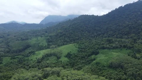 Aerial view of dense forest in the Meratus Mountains area in South Kalimantan Stock Footage 325644351