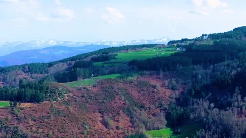 Aerial View Of Dense Forest In The Mountain In Fonsagrada, Lugo, Galicia, Spain. Stock Footage 273460984