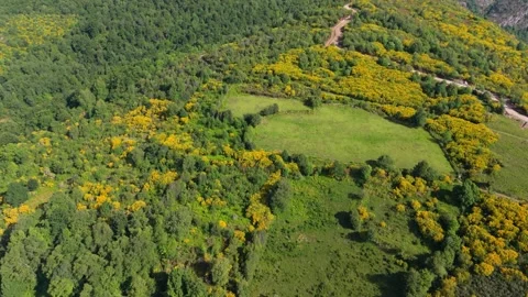 Aerial View Of Dense Forest In The Mountain - Ruta Pico Mostallar Hiking Area Stock Footage 340938257