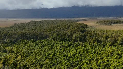 Aerial View of Dense Forest with Mountain Valley Stock Footage 341605841