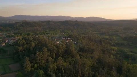 Aerial View Of Dense Forest Nea The Salvaterra Village During Sunset In Italy. Stock Footage 246745691