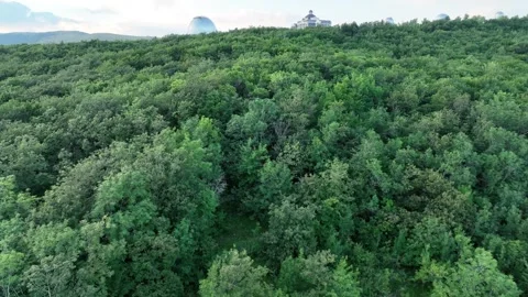 Aerial View of a Dense Forest Revealing an Astronomical Observatory Stock Footage 341977597