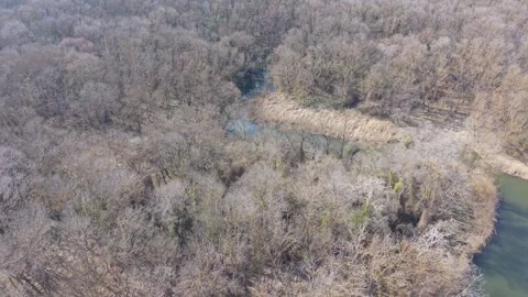 Aerial view of dense forest with river winding between trees Stock Footage 331506040