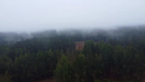 Aerial view of a dense forest shrouded in heavy fog creating a mysterious and Stock Footage 308978853