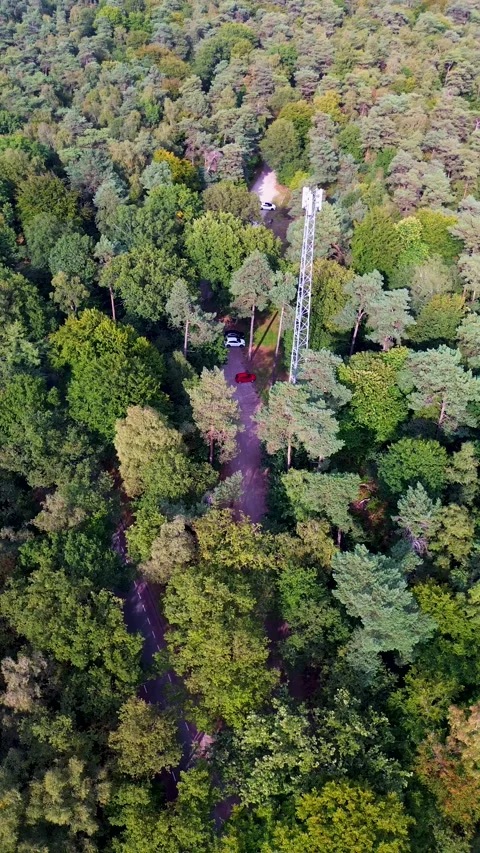 Aerial view of dense forest with winding path and tall cell tower metal Stock-Footage 323236147