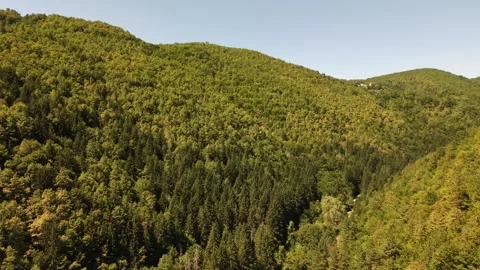 Aerial View of Dense Forested Hills and Valley Above Radica Potok in Vogosca Vídeo Stock 342717092
