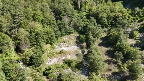 Aerial view of the dense forests Stock Footage 345709659