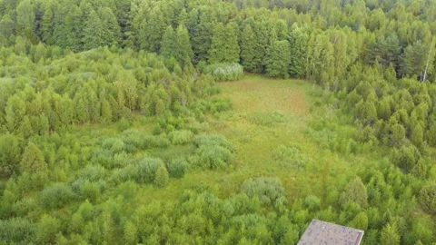 Aerial view of a dense green forest with a small clearing and a wooden observati Stock Footage 321757217