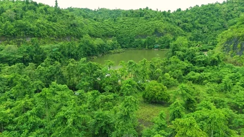 Aerial view of a dense green forest surrounding a calm, murky lake, with hills Stock Footage 322797514