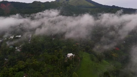 Aerial View of Dense Green Forest Beneath Low Hanging Clouds and Mist Stock Footage 341309581