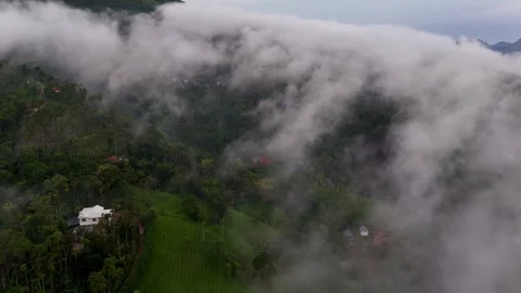 Aerial View of Dense Green Forest Beneath Low Hanging Clouds and Mist Stock Footage 341309661