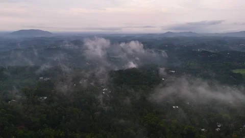 Aerial View of Dense Green Forest Beneath Low Hanging Clouds and Mist Stock Footage 341309694