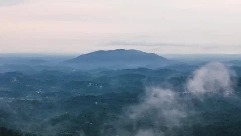 Aerial View of Dense Green Forest Beneath Low Hanging Clouds and Mist Stock Footage 341309701