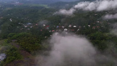Aerial View of Dense Green Forest Beneath Low Hanging Clouds and Mist Stock Footage 341309720