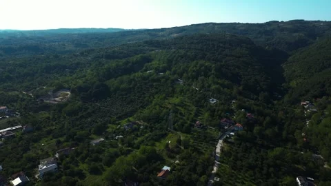 Aerial View of Dense Green Forest and Hills Stock Footage 342345774
