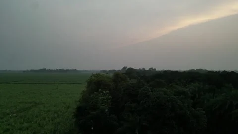 Aerial view of dense green forest canopy and agricultural field under drama.. Vídeo Stock 345132003